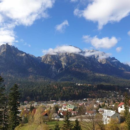Vila Alunis Буштени Экстерьер фото