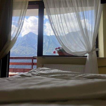 Vila Alunis Буштени Экстерьер фото
