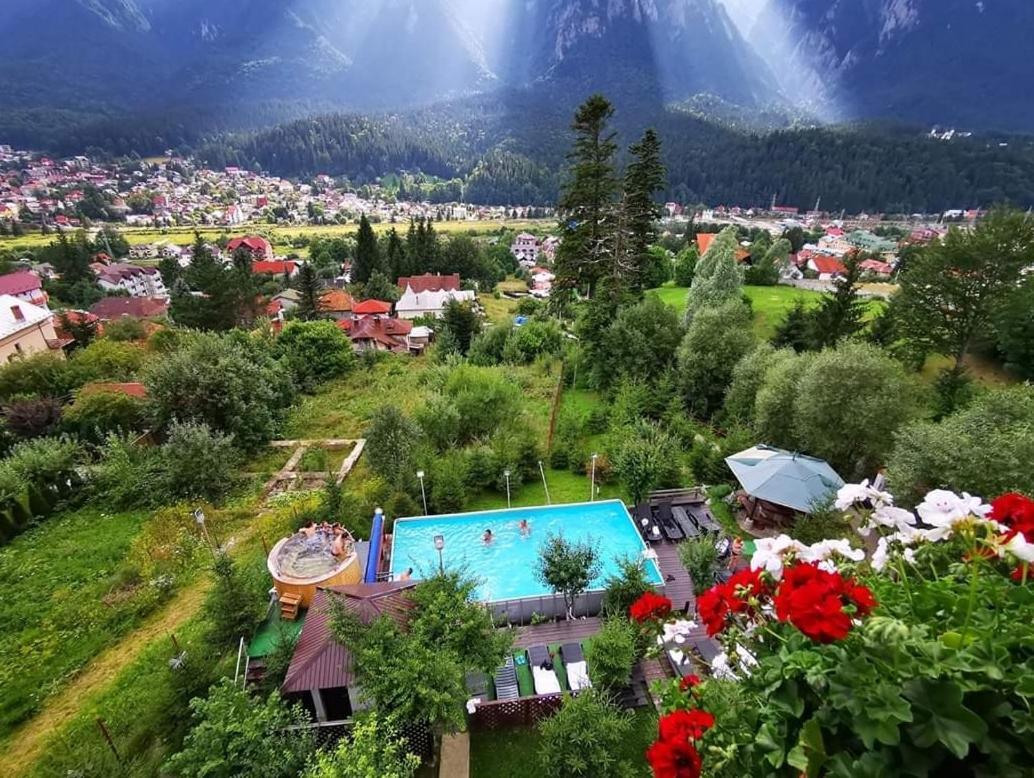 Vila Alunis Буштени Экстерьер фото