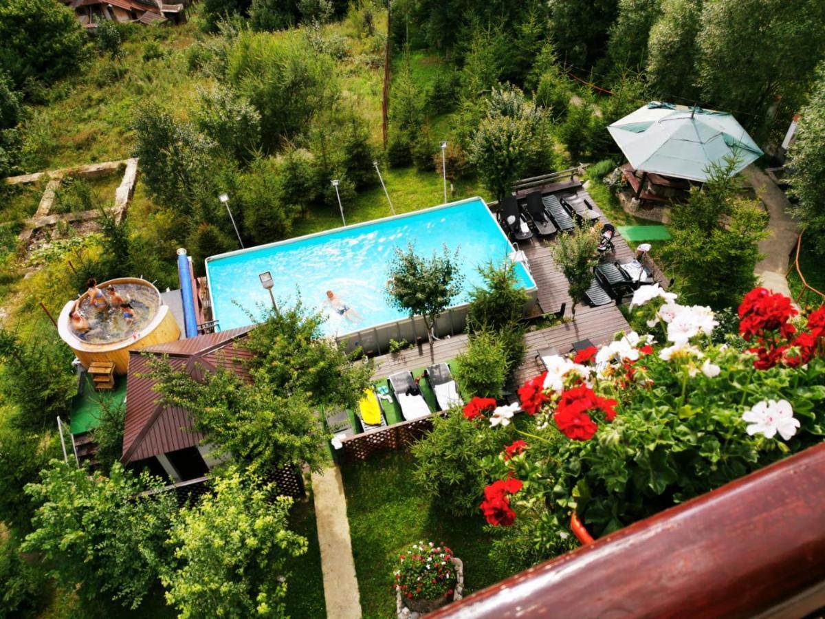 Vila Alunis Буштени Экстерьер фото