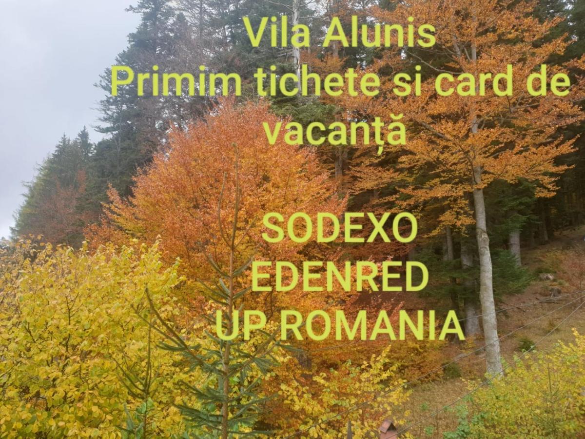 Vila Alunis Буштени Экстерьер фото