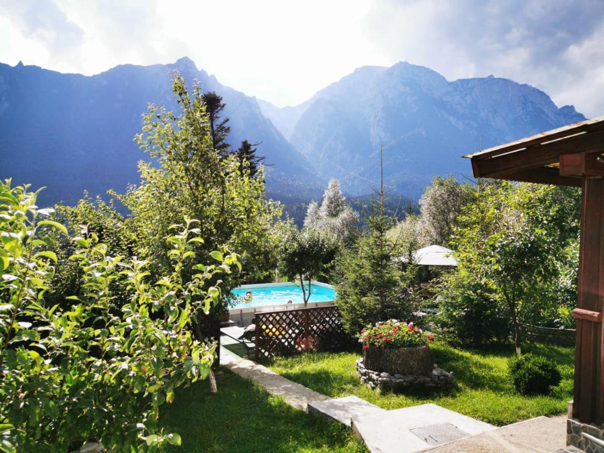 Vila Alunis Буштени Экстерьер фото