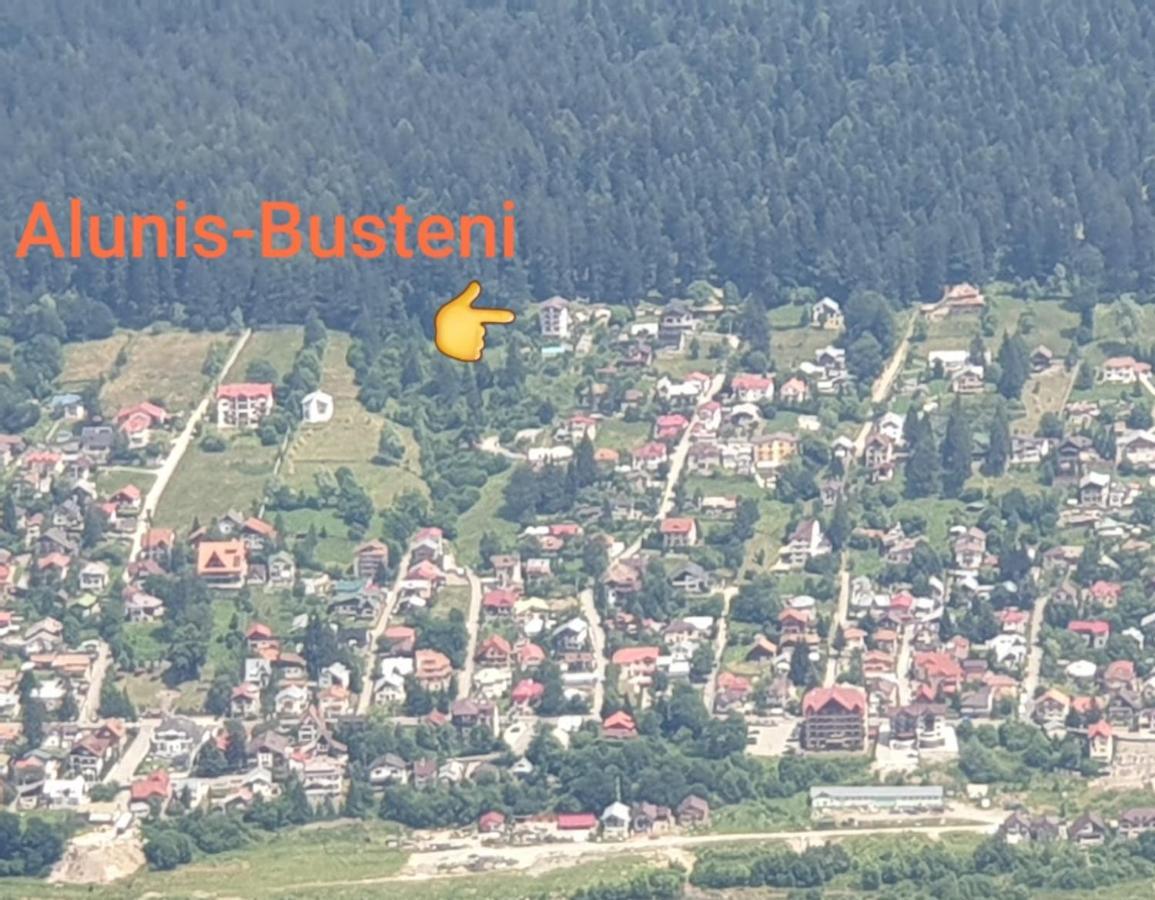 Vila Alunis Буштени Экстерьер фото