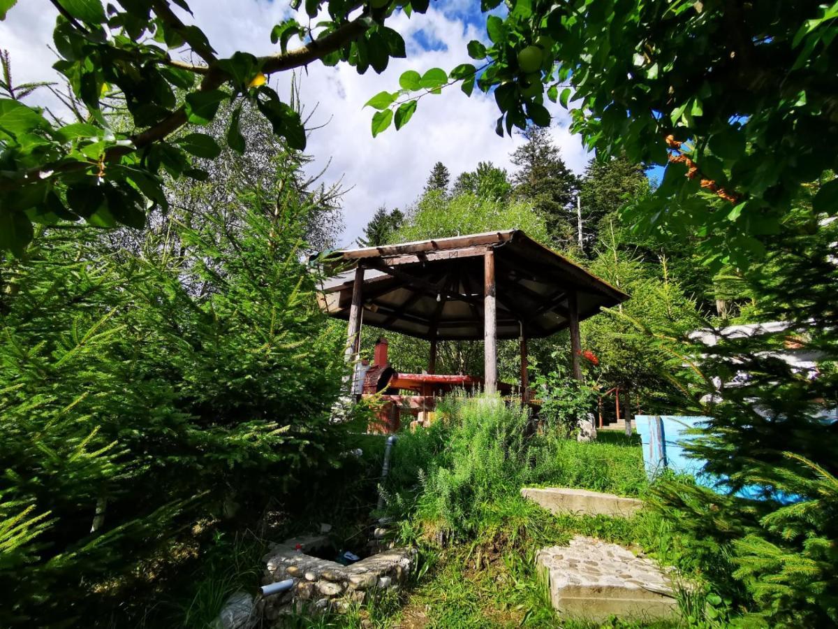 Vila Alunis Буштени Экстерьер фото