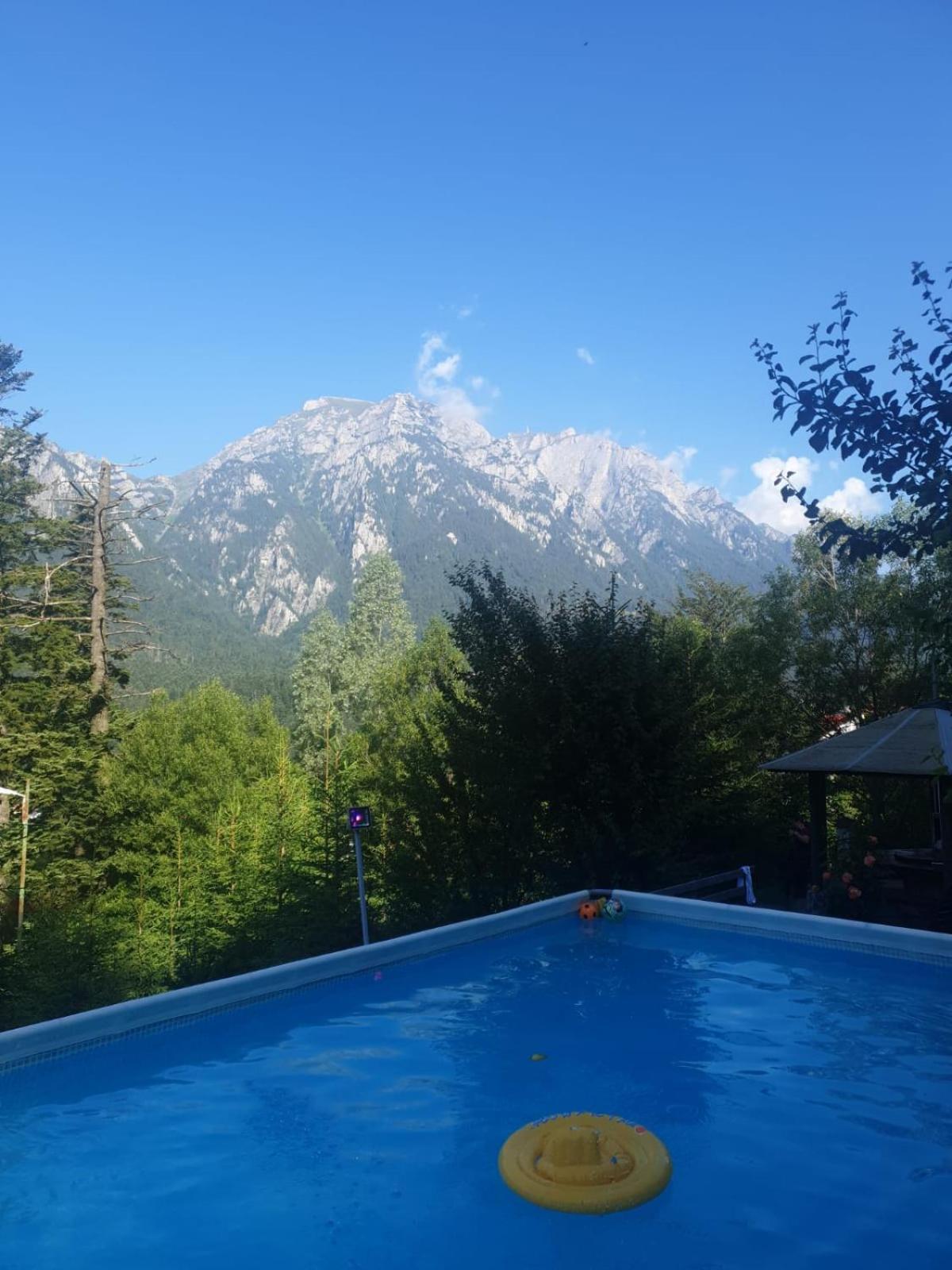 Vila Alunis Буштени Экстерьер фото