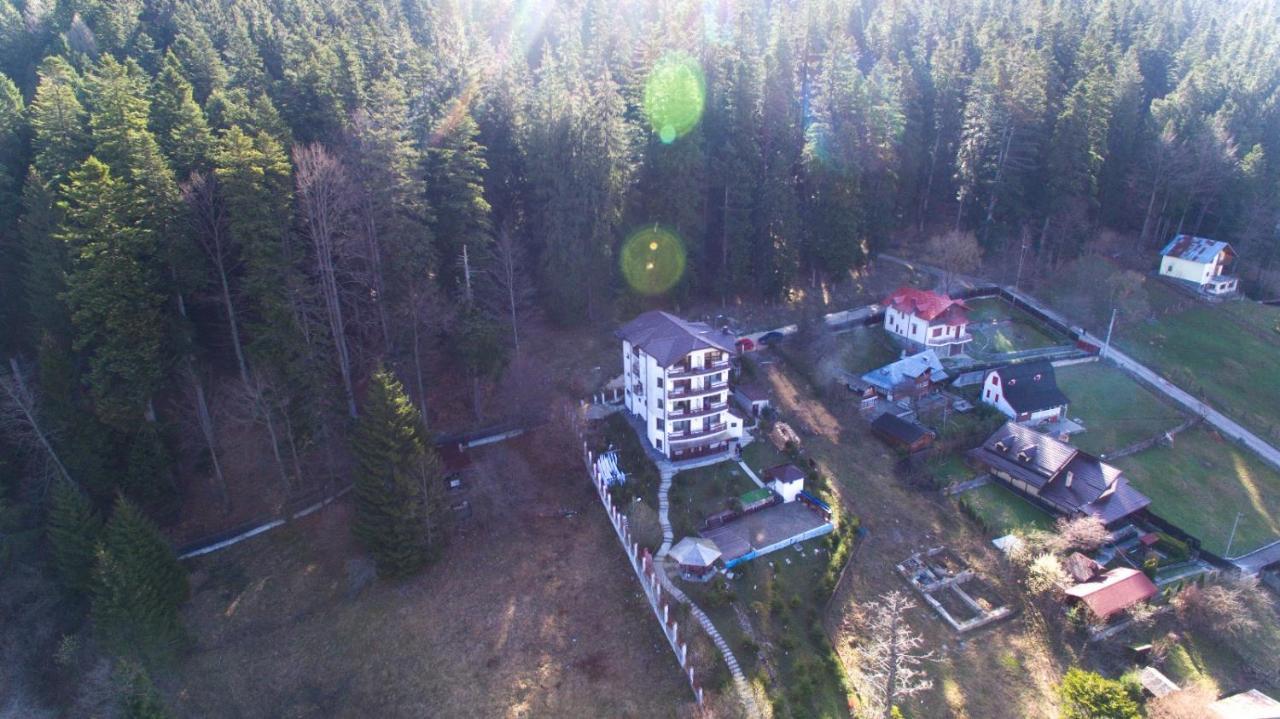 Vila Alunis Буштени Экстерьер фото