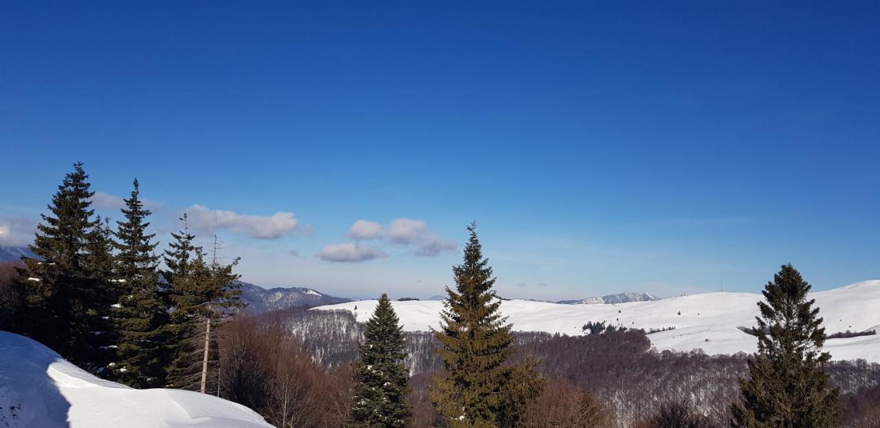 Vila Alunis Буштени Экстерьер фото
