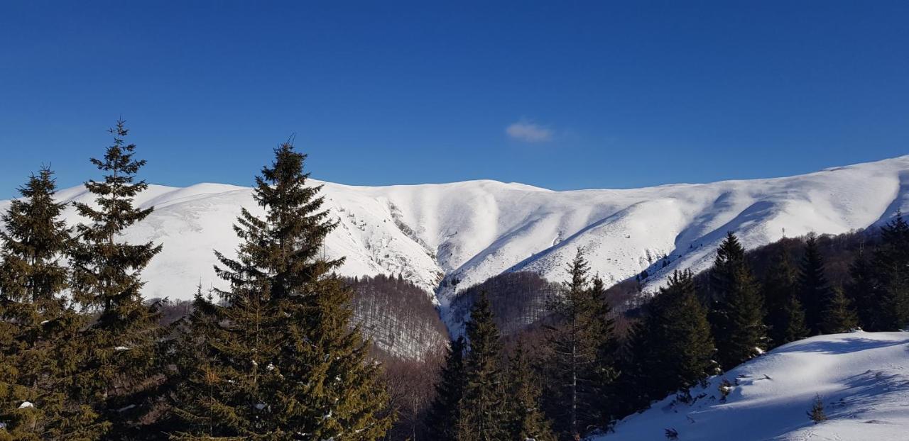 Vila Alunis Буштени Экстерьер фото