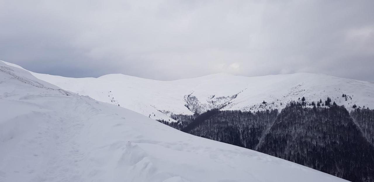 Vila Alunis Буштени Экстерьер фото