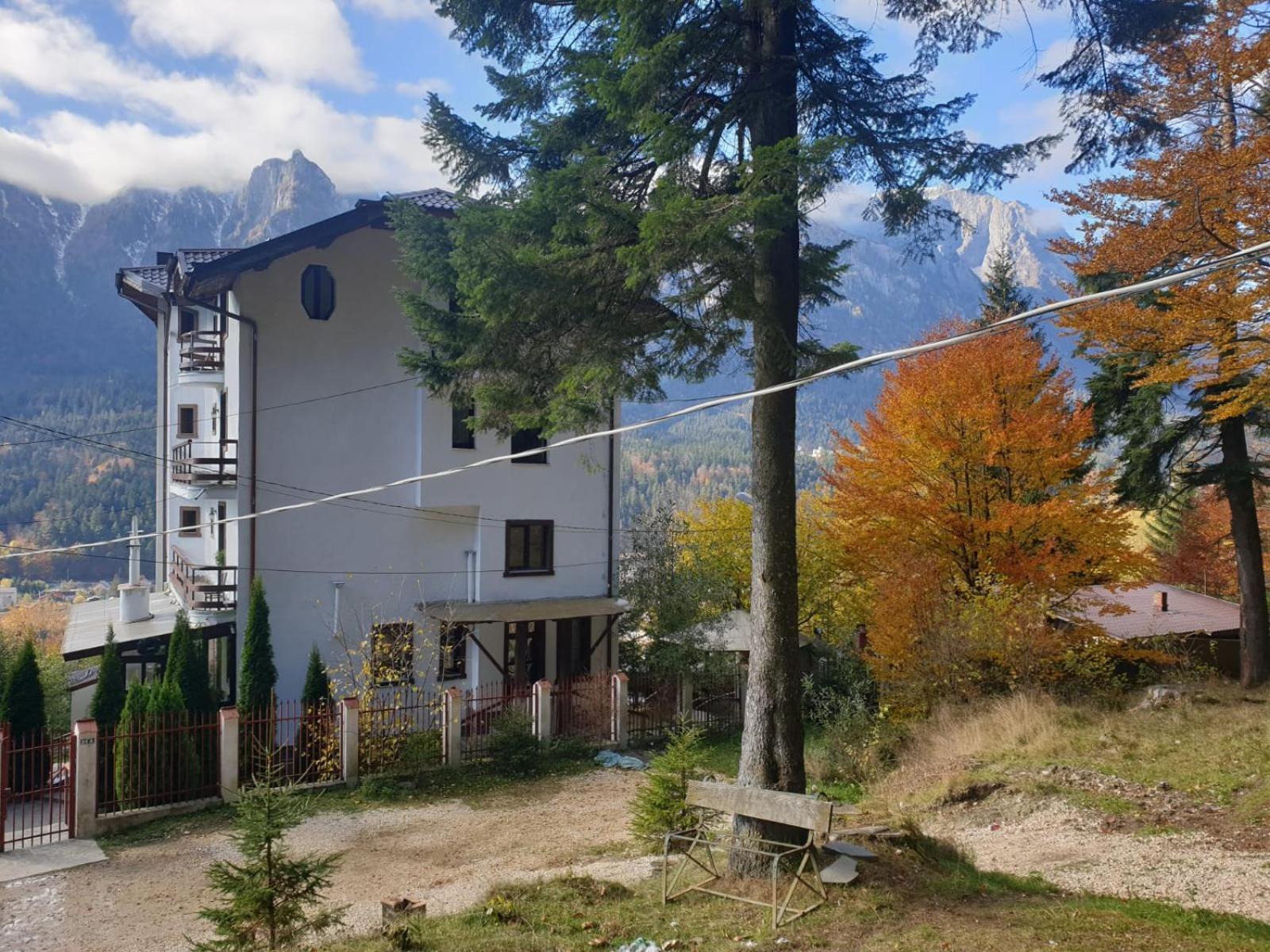 Vila Alunis Буштени Номер фото