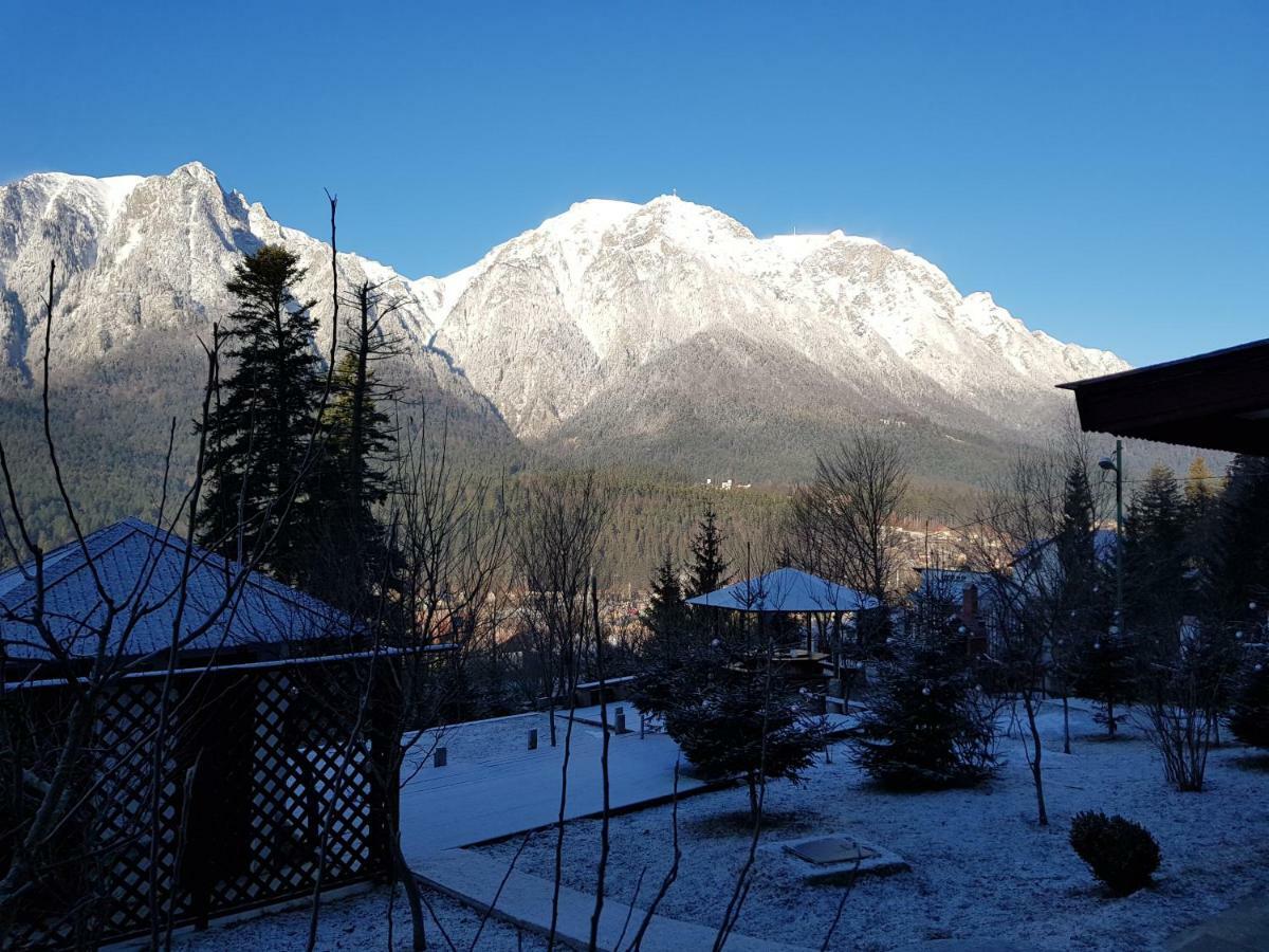 Vila Alunis Буштени Экстерьер фото